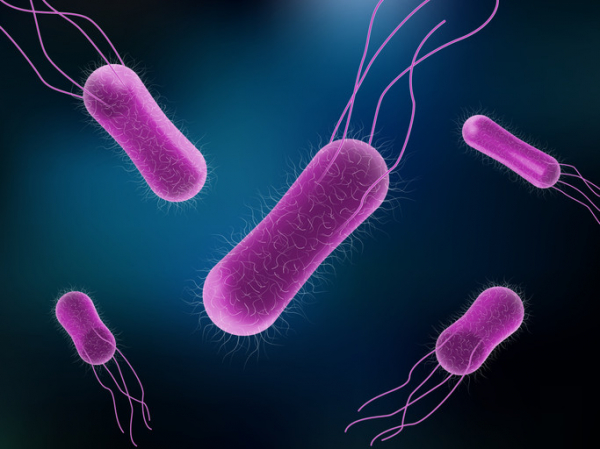 An illustration of pink, oval-shaped salmonella bacteria with long pink threads against a dark blue background with white highlighting 